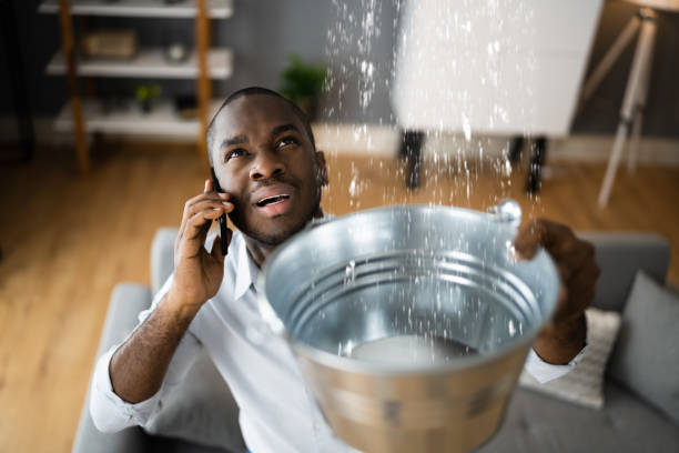Best Mold removal after water damage  in Bosque Farms, NM