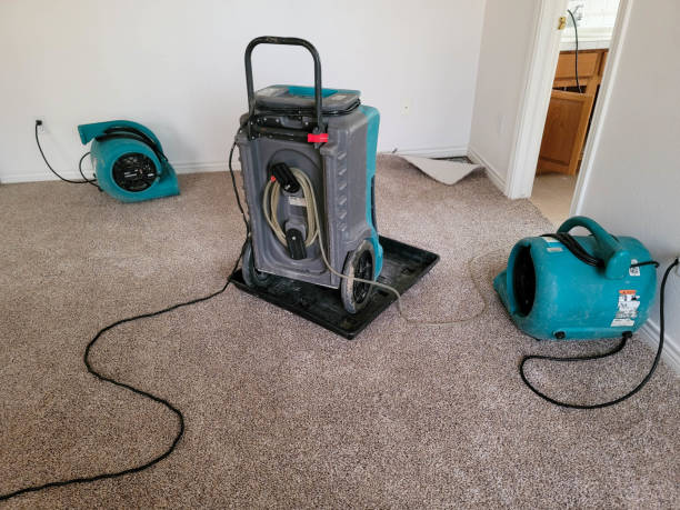 Best Water damage repair service  in Bosque Farms, NM