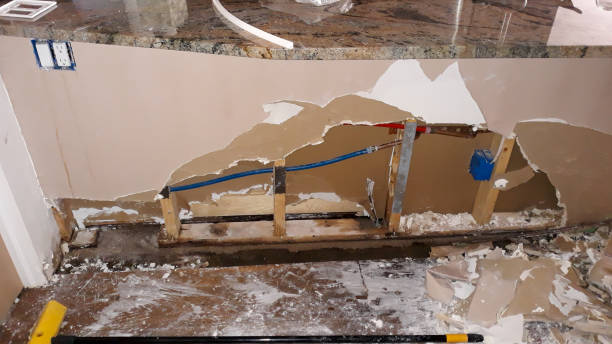 Best Mold removal after water damage  in Bosque Farms, NM