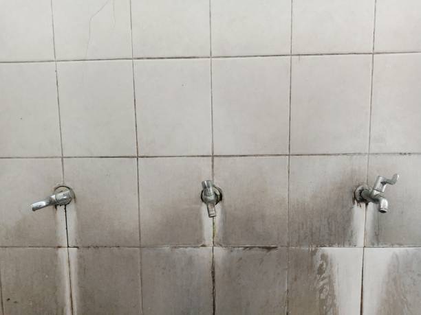Best Flood damage cleanup  in Bosque Farms, NM