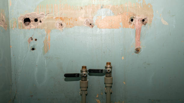 Best Fire Damage Restoration  in Bosque Farms, NM
